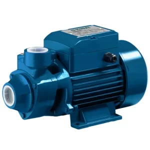 SK Series Pumps