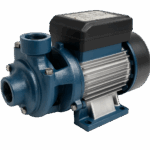 adobe express file (1)